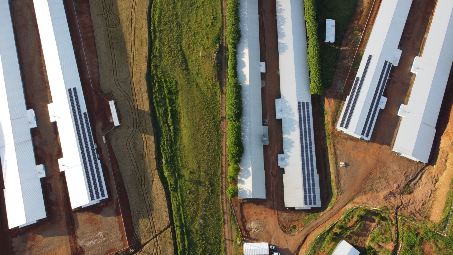 Complexo agroindustrial com painéis solares
