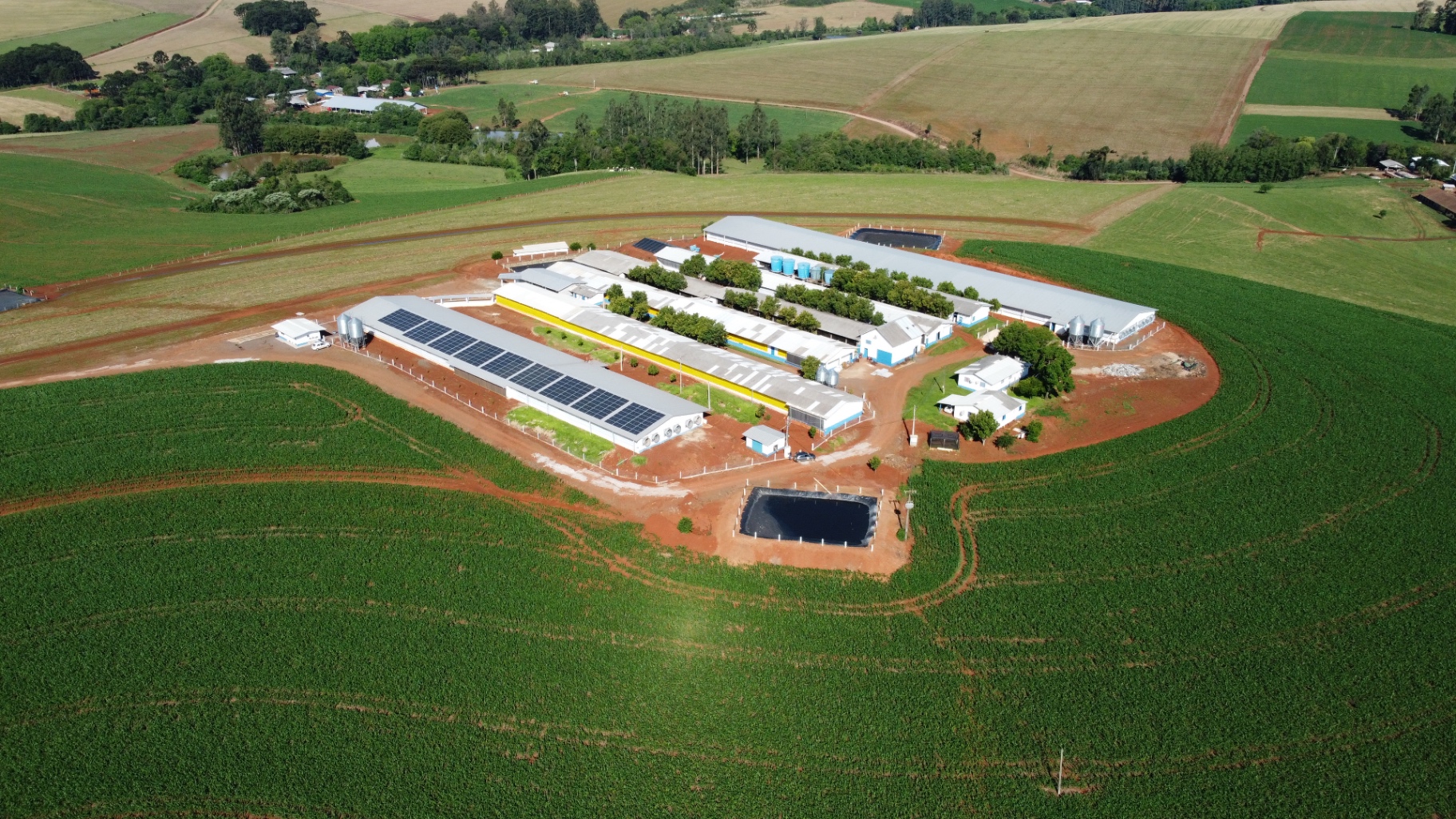 Agroindústria com energia solar