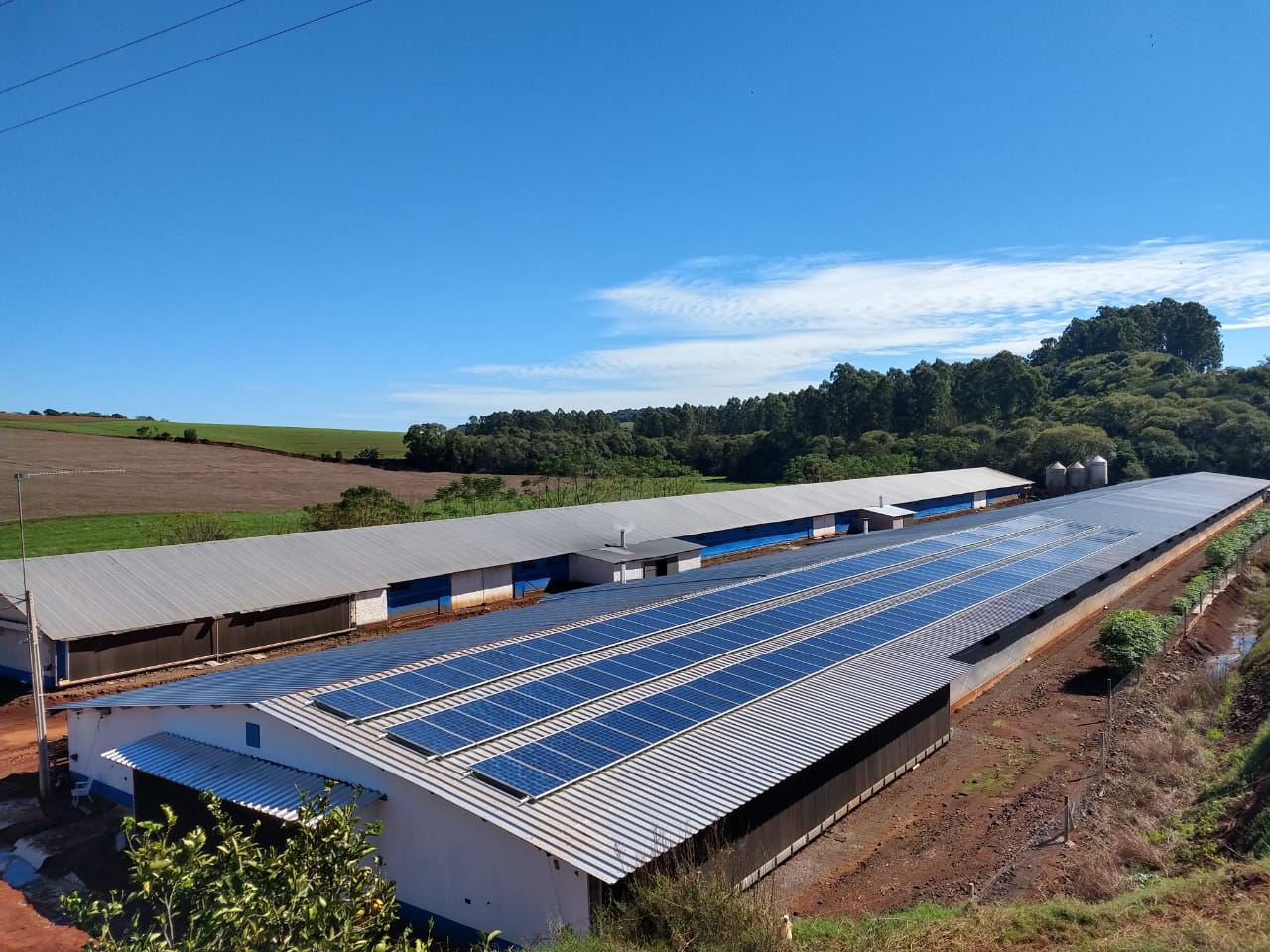 Aviário com sistema fotovoltaico